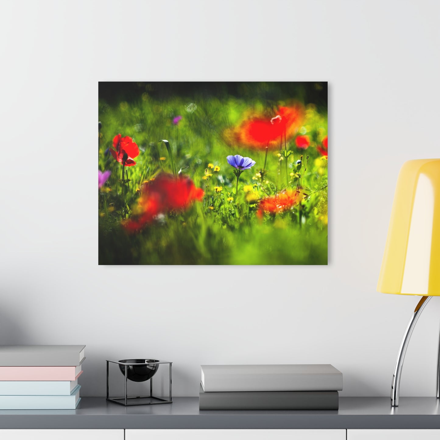 Elah Valley Wildflowers Yehoshua Halevi Photograph - Glossy Acrylic Print (French Cleat Hanging)