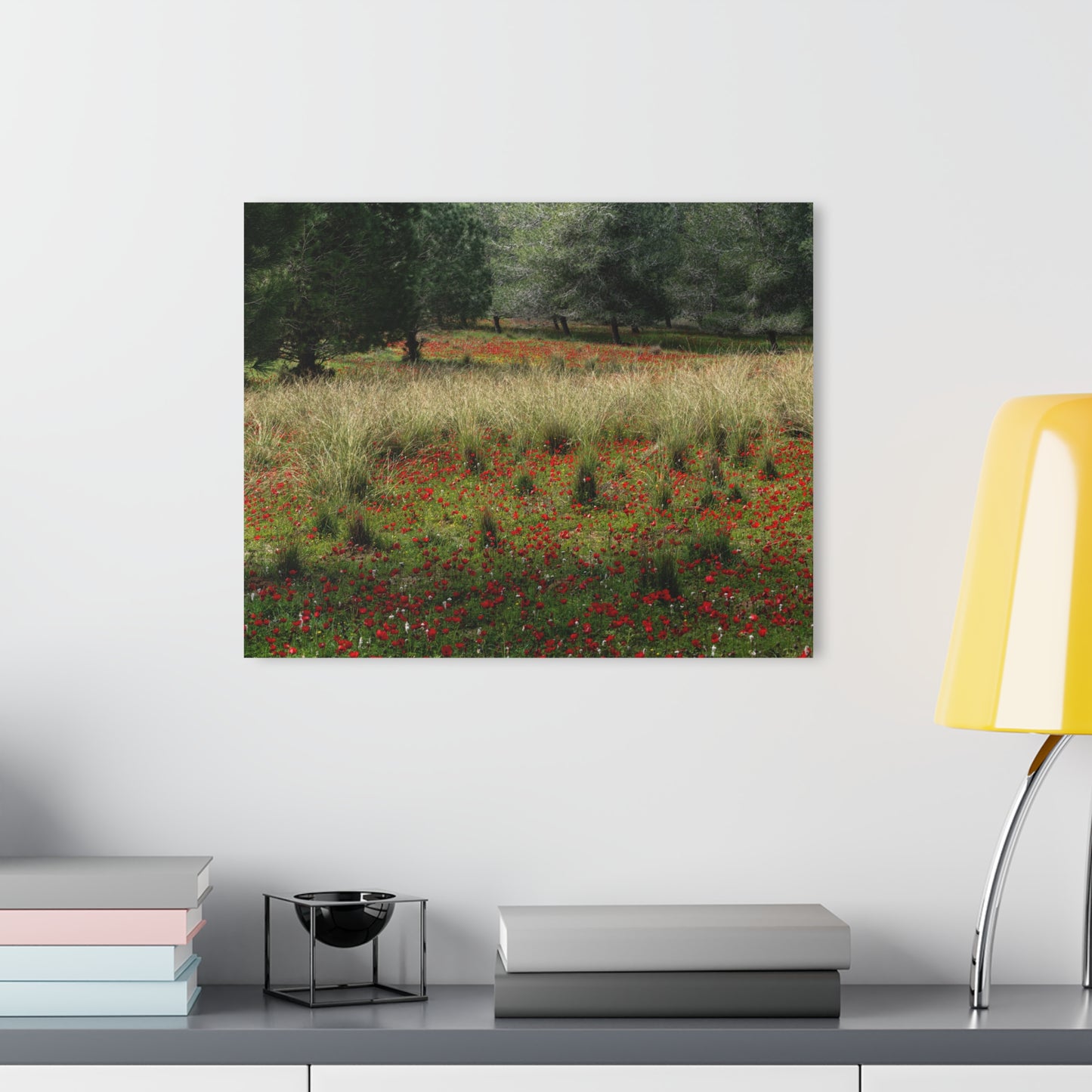 Ela Valley Anemones by Yehoshua Halevi - Photograph on Glossy Acrylic (French Cleat Hanging)