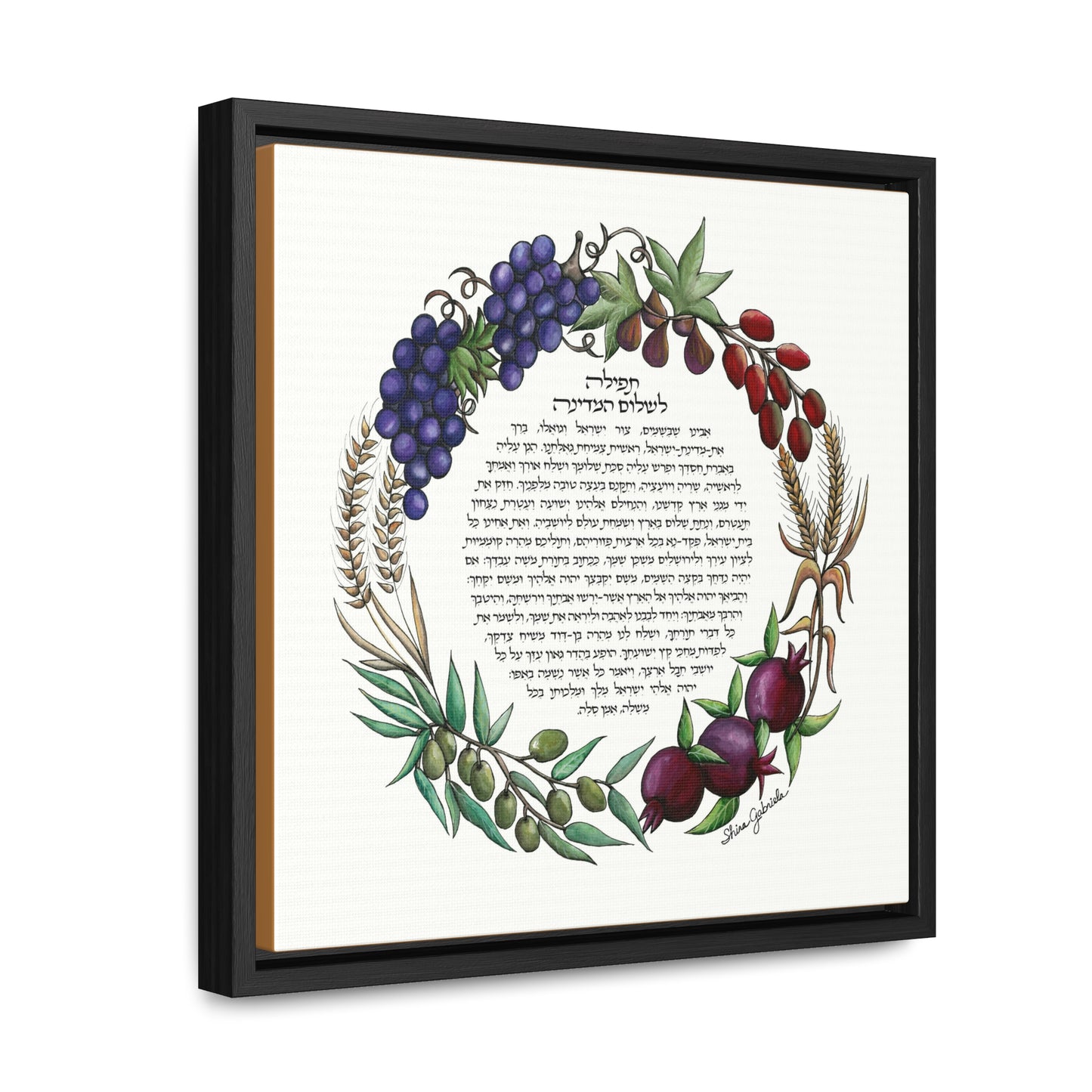 Tefila L'Shalom HaMedina by Shira Gabriela Gallery Wrapped Canvas in Square Frame