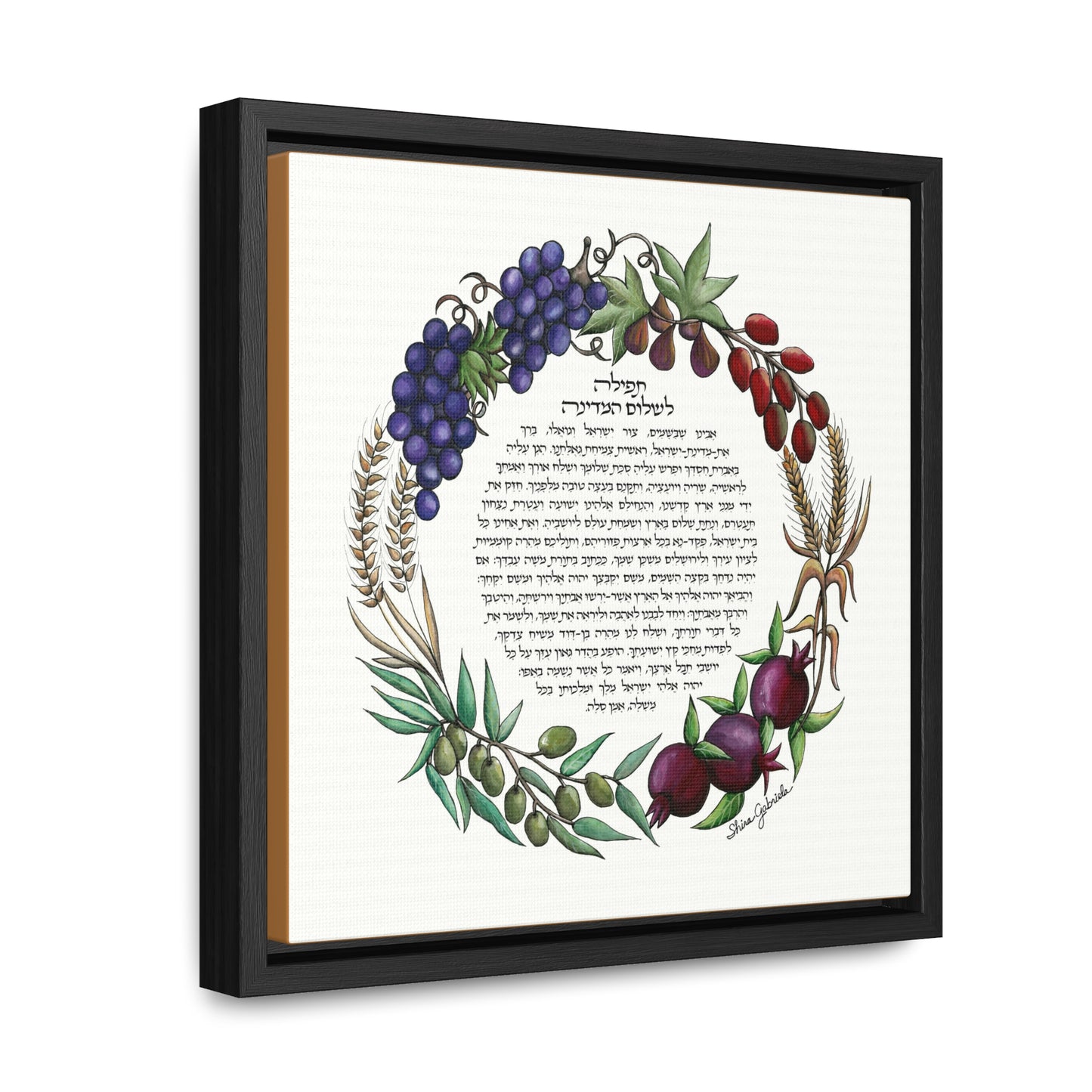 Tefila L'Shalom HaMedina by Shira Gabriela Gallery Wrapped Canvas in Square Frame