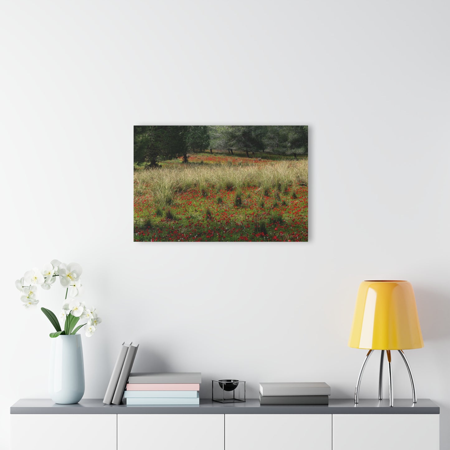 Ela Valley Anemones by Yehoshua Halevi - Photograph on Glossy Acrylic (French Cleat Hanging)