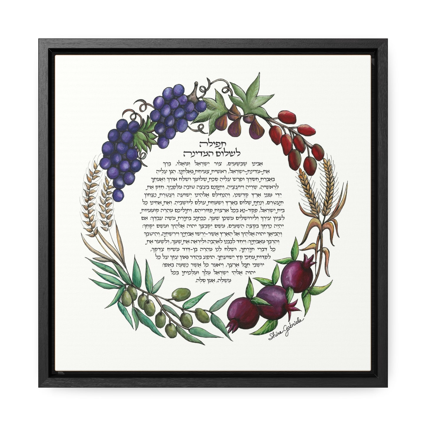 Tefila L'Shalom HaMedina by Shira Gabriela Gallery Wrapped Canvas in Square Frame