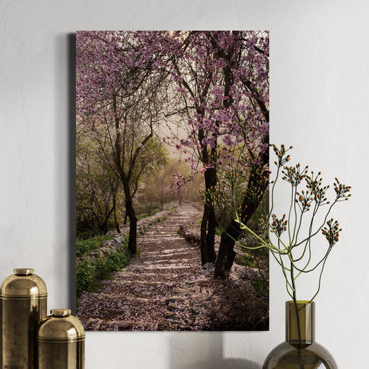 Enchanted Almond Forest by Yehoshua Halevi Photograph - Acrylic Print (French Cleat Hanging)