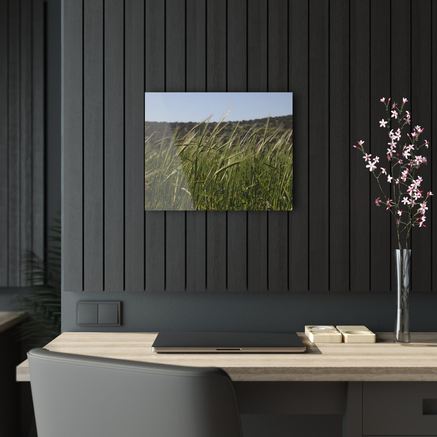 "Givat haTirmusim" by Avraham Nacher Glossy Modern Acrylic Photograph