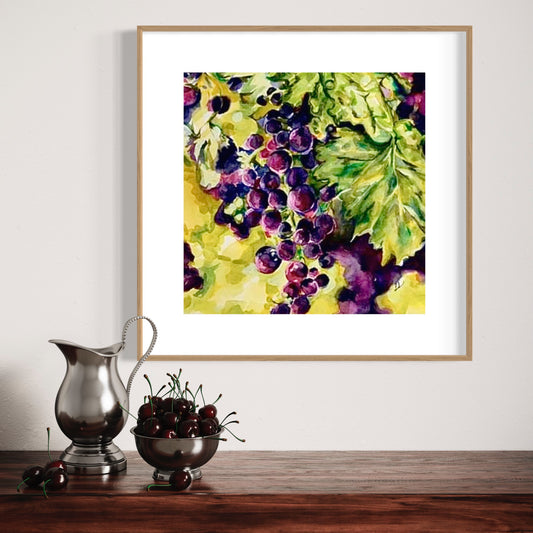 Sunkissed Grapes