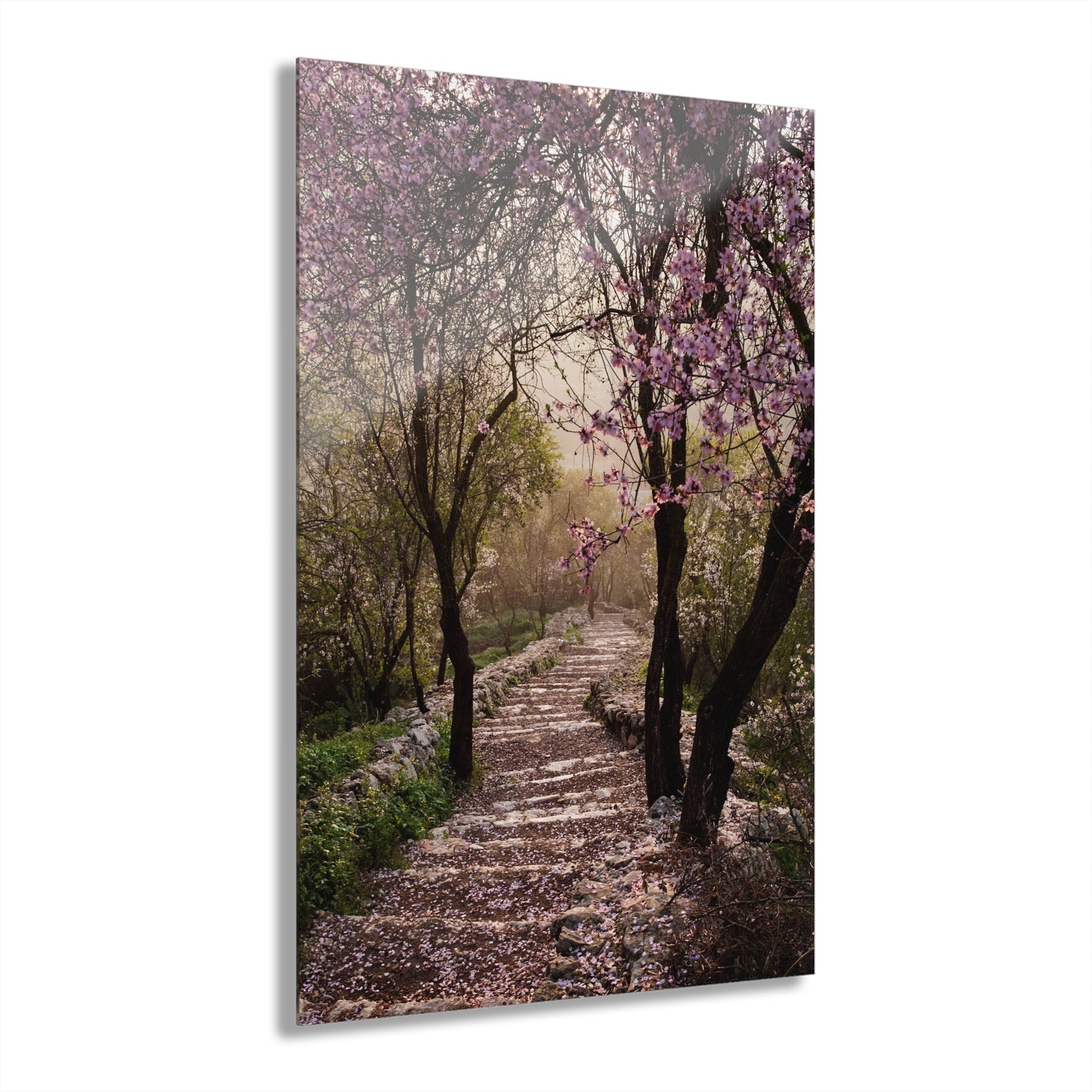 Enchanted Almond Forest by Yehoshua Halevi Photograph - Acrylic Print (French Cleat Hanging)