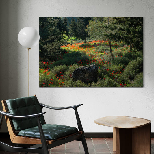 Ruchama Forest Anemones by Yehoshua Halevi Photograph - Acrylic Print (French Cleat Hanging)