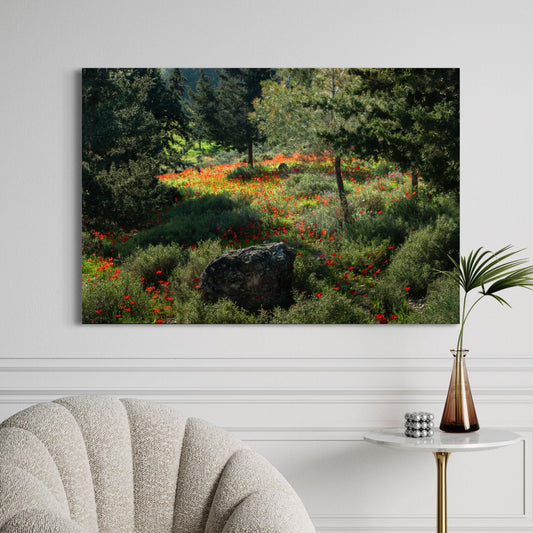 Ruchama Forest Anemones by Yehoshua Halevi Photograph - Acrylic Print (French Cleat Hanging)