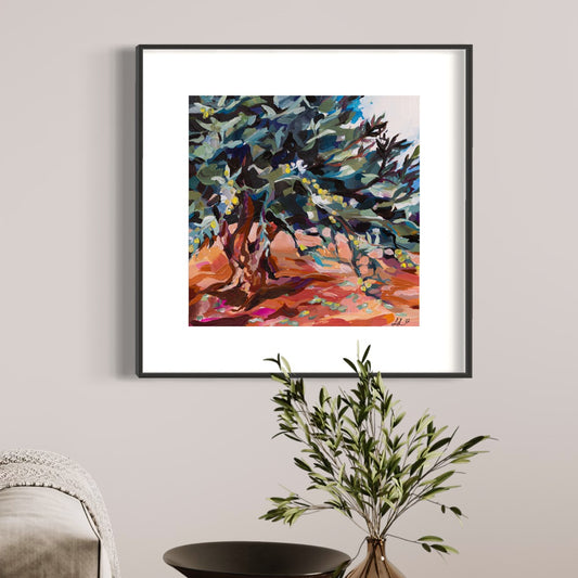 Portrait of an Ancient Olive Tree