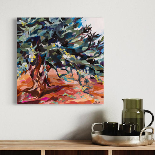 Portrait of an Ancient Olive Tree