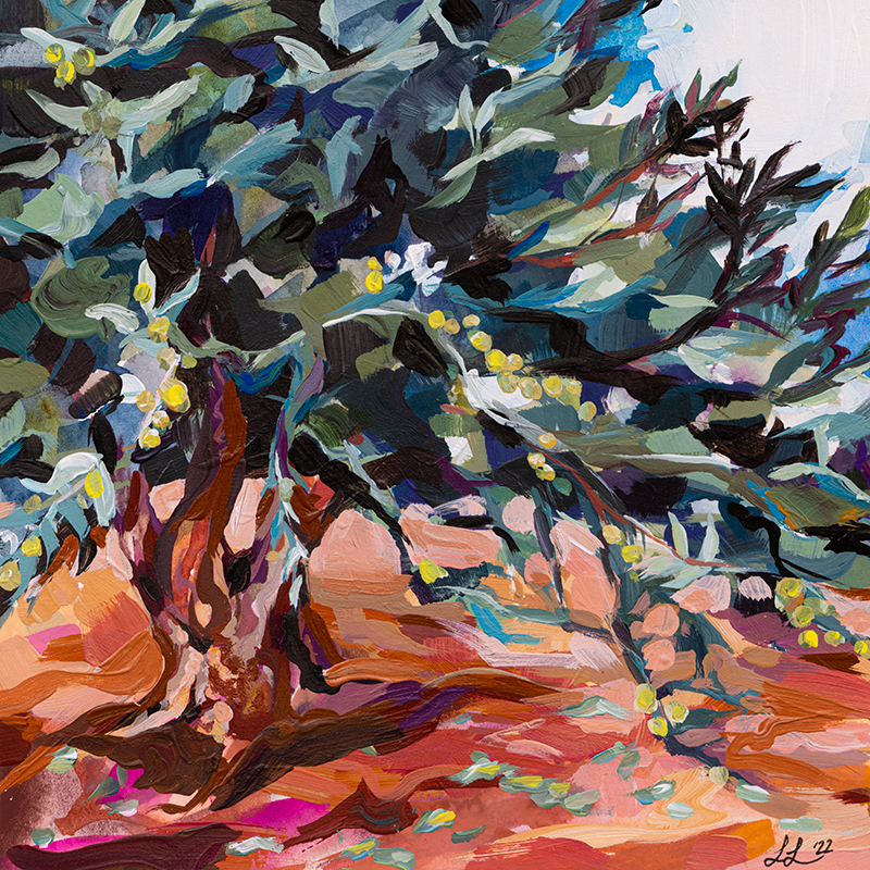 Portrait of an Ancient Olive Tree