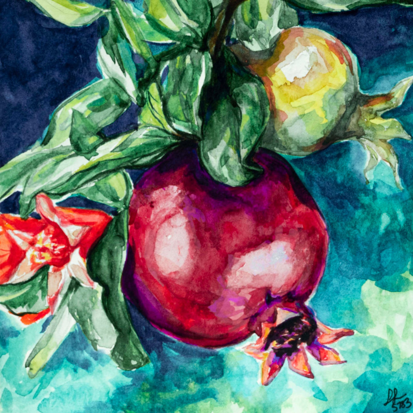 Pomegranates in Bloom