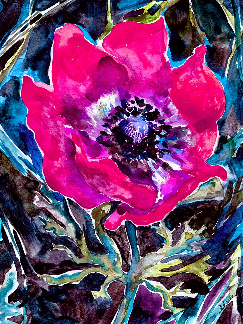 Kalania (Anemone) Flower in Cool Tones