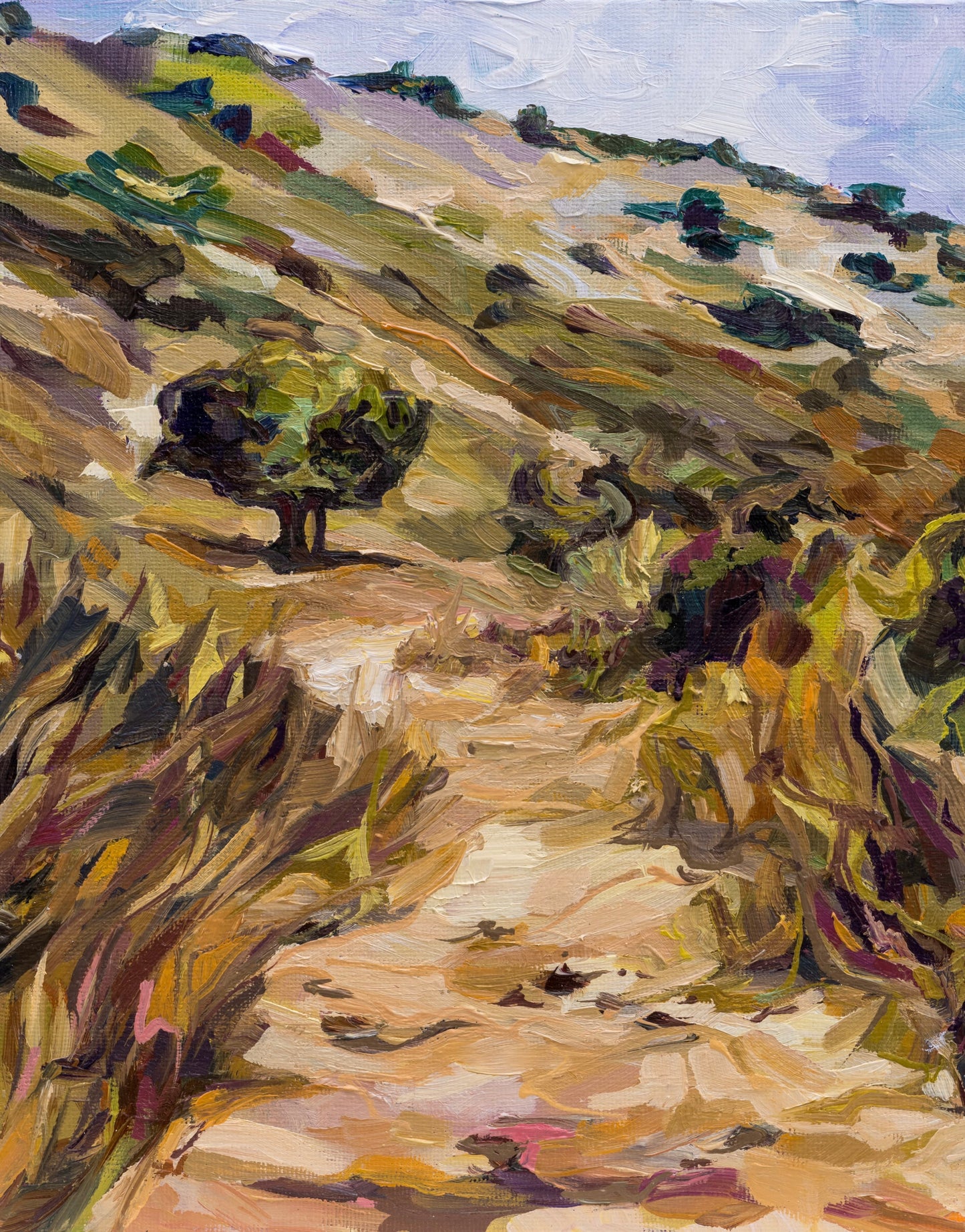 Twin Caves Path II Print