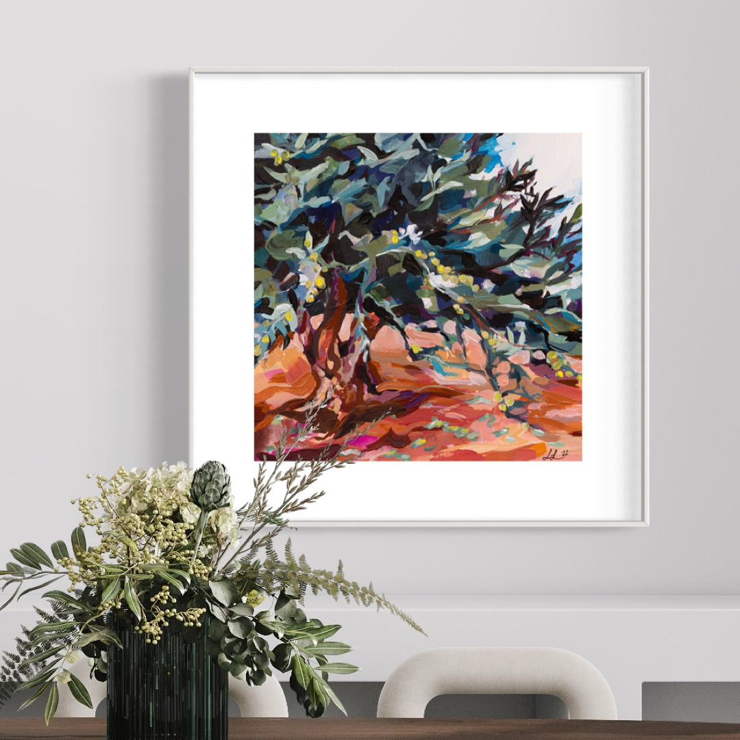 Portrait of an Ancient Olive Tree