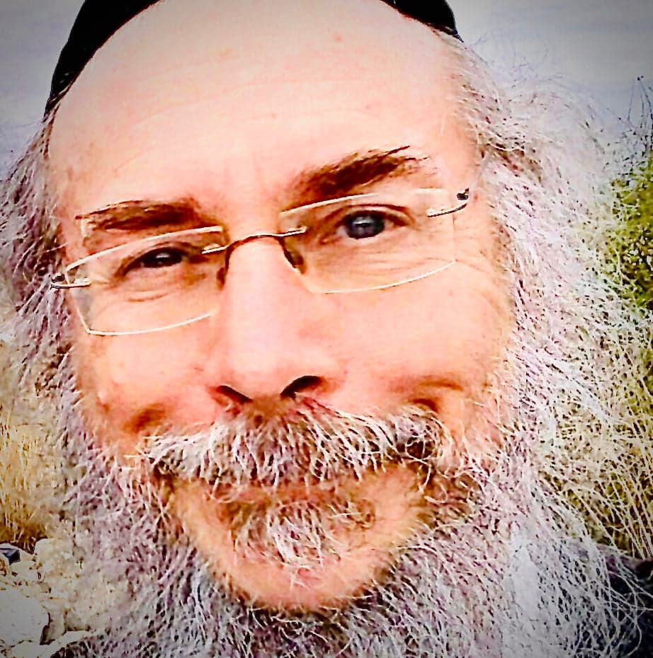 Dov Laimon