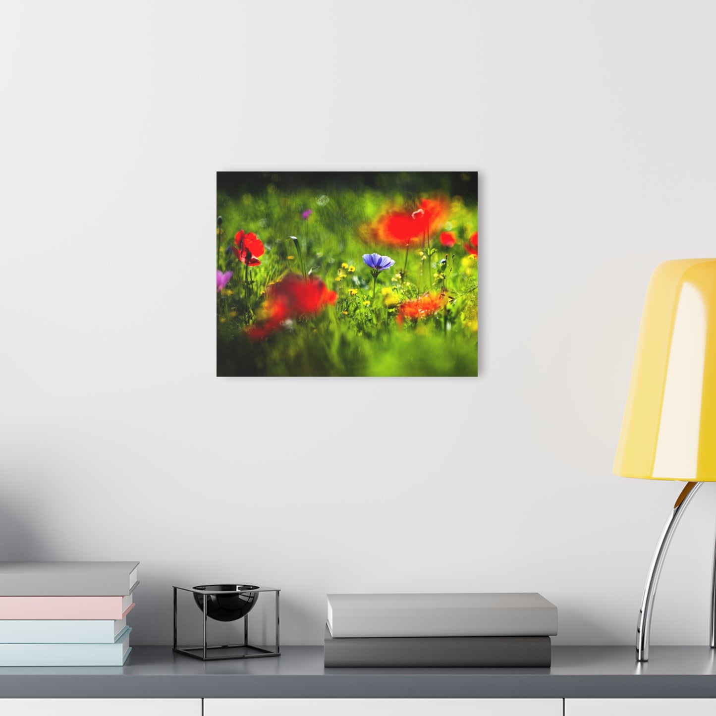 Elah Valley Wildflowers Yehoshua Halevi Photograph - Glossy Acrylic Print (French Cleat Hanging)