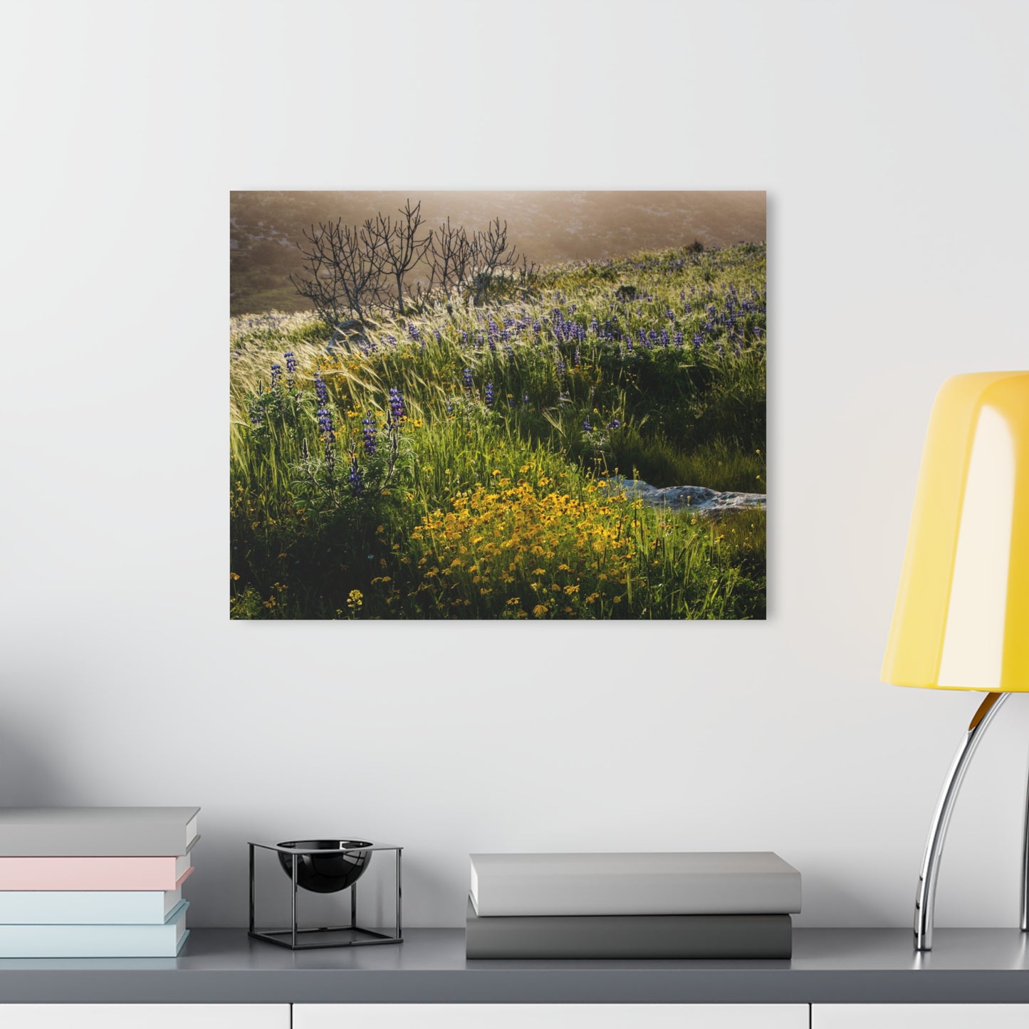 Golden Light on Lupine Hill Photograph by Yehoshua Halevi - Glossy Acrylic Print (French Cleat Hanging)