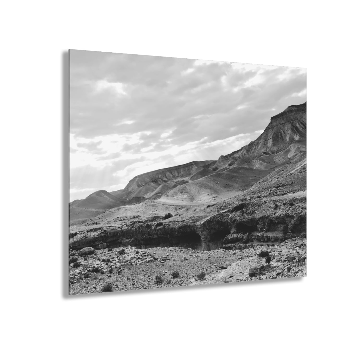 Beneath the Desert’s Veil by Nina Greene Acrylic Print (French Cleat Hanging)