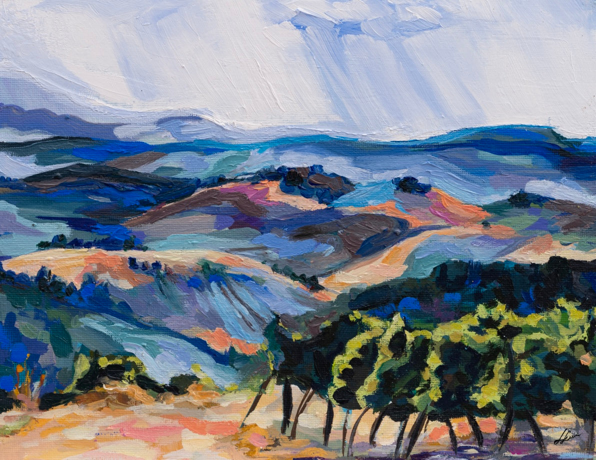 Gush Mountaintop Vineyard I by Leah Luria on Canvas or Fine Art Paper