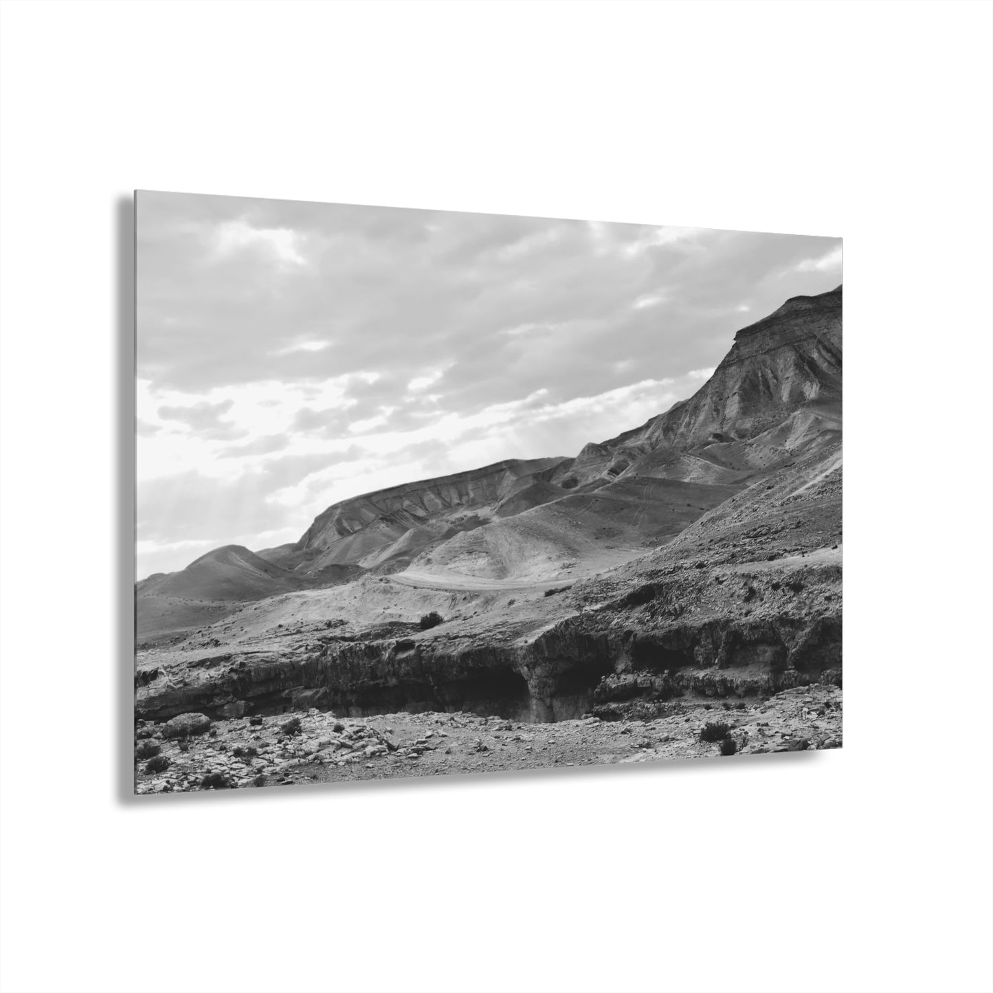 Beneath the Desert’s Veil by Nina Greene Acrylic Print (French Cleat Hanging)