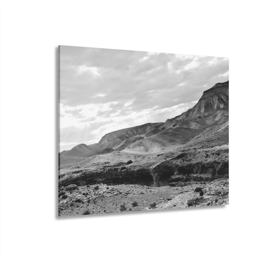 Beneath the Desert’s Veil by Nina Greene Acrylic Print (French Cleat Hanging)