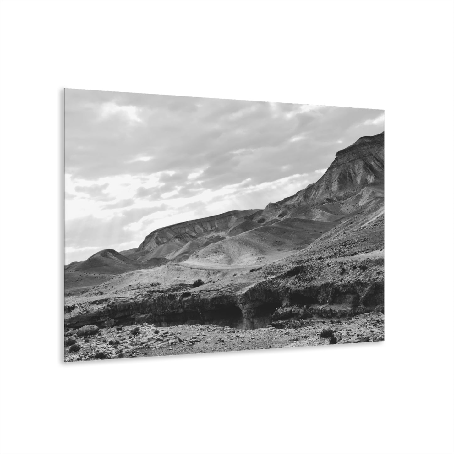 Beneath the Desert’s Veil by Nina Greene Acrylic Print (French Cleat Hanging)