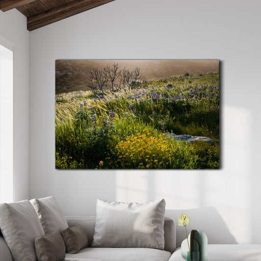 Golden Light on Lupine Hill Photograph by Yehoshua Halevi - Glossy Acrylic Print (French Cleat Hanging)