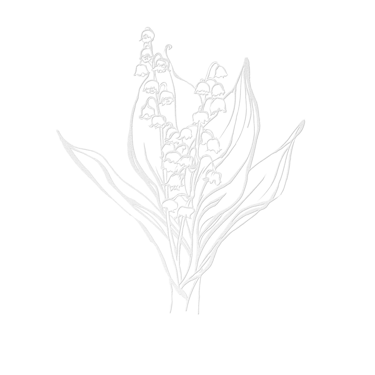 Lilly of the Valley • May Birth Flower by Leah Luria Metal Wall Art